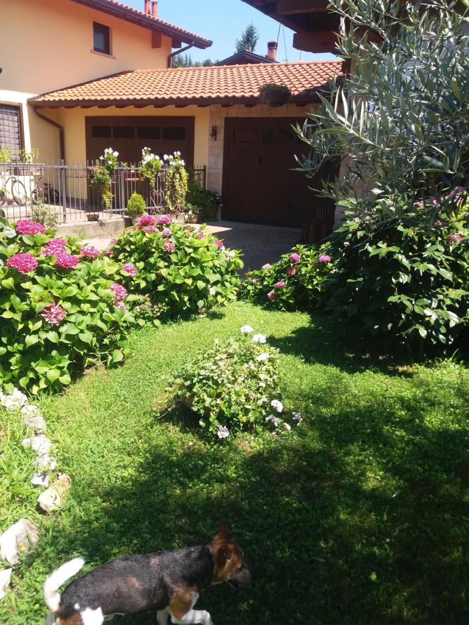 B&B Silvana Travedona Exterior foto